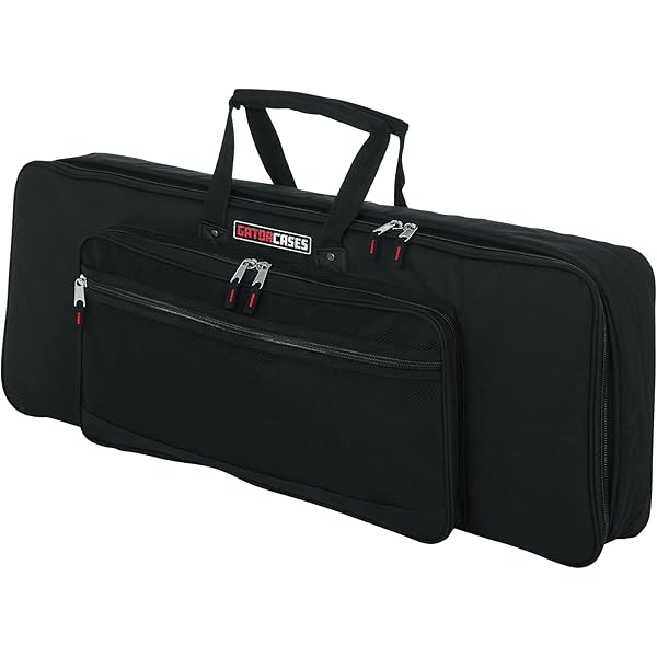 Amazon | HAMMOND ハモンド HAMMOND SK PRO-73用ソフトケース SC-73KC